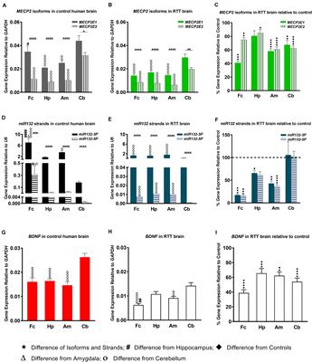 The MeCP2E1/E2-BDNF-miR132 Homeostasis Regulatory Network Is Region-Dependent in the Human Brain and Is Impaired in Rett Syndrome Patients